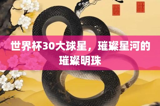 世界杯30大球星，璀璨星河的璀璨明珠
