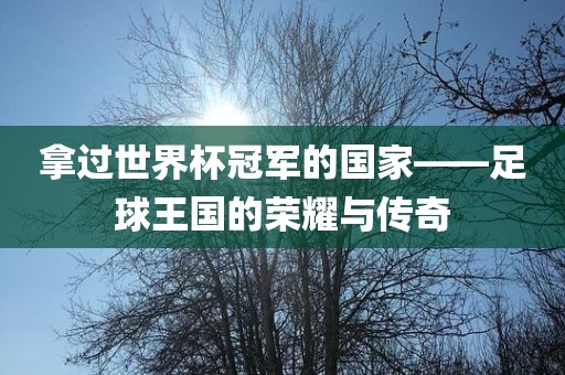拿过世界杯冠军的国家——足球王国的荣耀与传奇