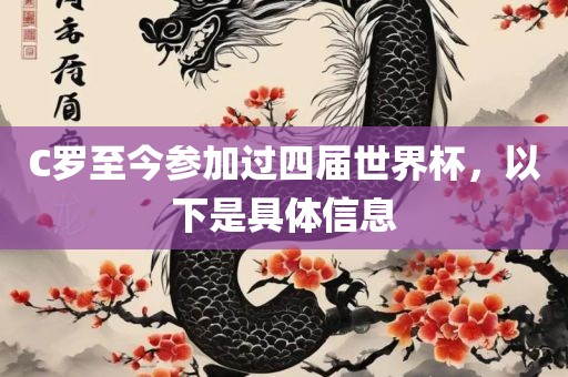 C罗至今参加过四届世界杯，以下是具体信息