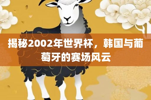 揭秘2002年世界杯，韩国与葡萄牙的赛场风云
