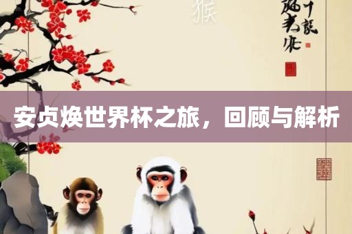 安贞焕世界杯之旅，回顾与解析
