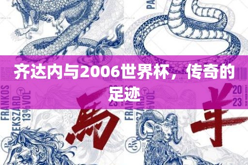 齐达内与2006世界杯，传奇的足迹