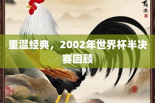 重温经典，2002年世界杯半决赛回顾