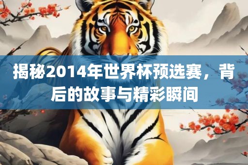 揭秘2014年世界杯预选赛，背后的故事与精彩瞬间