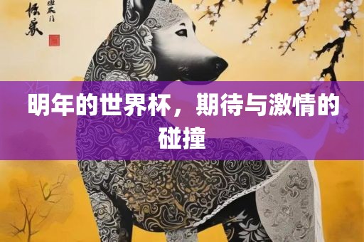 明年的世界杯，期待与激情的碰撞