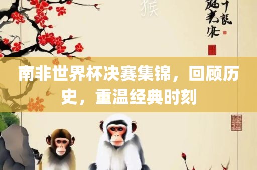 南非世界杯决赛集锦，回顾历史，重温经典时刻