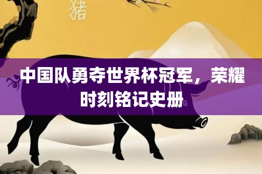 中国队勇夺世界杯冠军，荣耀时刻铭记史册