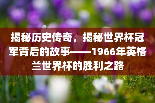 揭秘历史传奇，揭秘世界杯冠军背后的故事——1966年英格兰世界杯的胜利之路