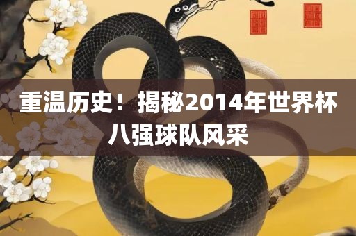 重温历史！揭秘2014年世界杯八强球队风采