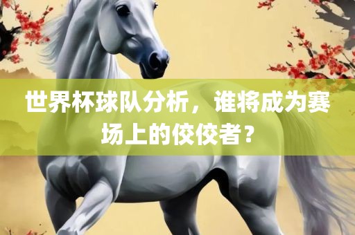 世界杯球队分析，谁将成为赛场上的佼佼者？