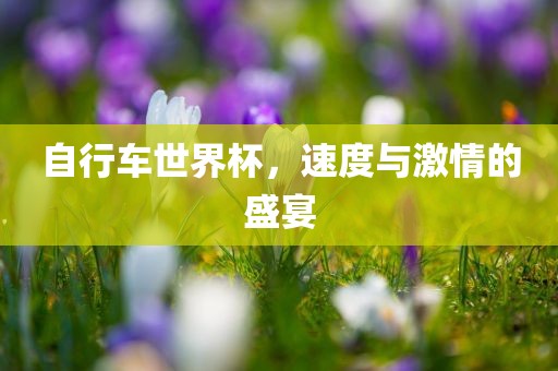 自行车世界杯，速度与激情的盛宴