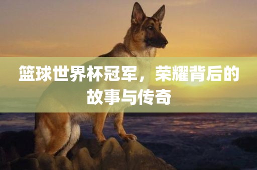 篮球世界杯冠军，荣耀背后的故事与传奇
