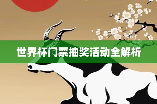 世界杯门票抽奖活动全解析
