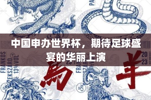 中国申办世界杯，期待足球盛宴的华丽上演