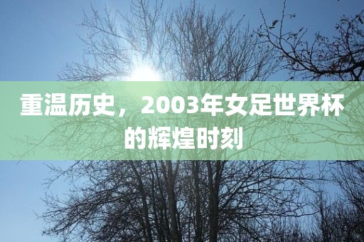 重温历史，2003年女足世界杯的辉煌时刻