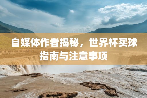 自媒体作者揭秘，世界杯买球指南与注意事项