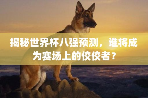 揭秘世界杯八强预测，谁将成为赛场上的佼佼者？