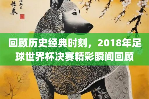 回顾历史经典时刻，2018年足球世界杯决赛精彩瞬间回顾