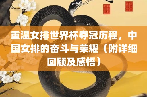 重温女排世界杯夺冠历程，中国女排的奋斗与荣耀（附详细回顾及感悟）