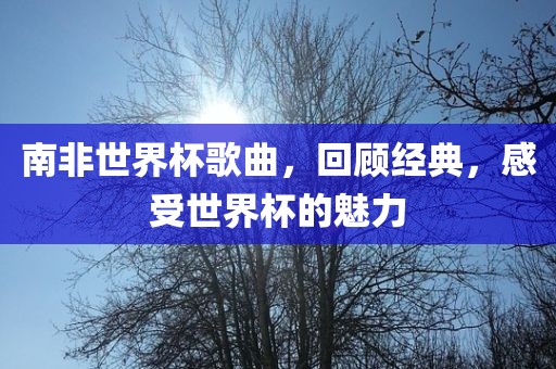 南非世界杯歌曲，回顾经典，感受世界杯的魅力