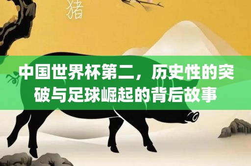 中国世界杯第二，历史性的突破与足球崛起的背后故事