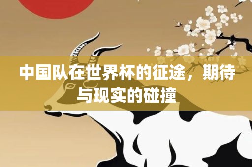 中国队在世界杯的征途，期待与现实的碰撞