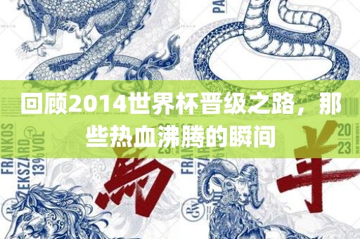 回顾2014世界杯晋级之路，那些热血沸腾的瞬间