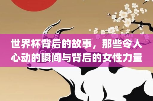 世界杯背后的故事,那些令人心动的瞬间与背后的女性力量