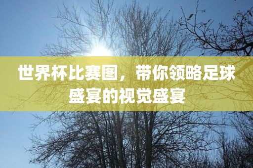 世界杯比赛图，带你领略足球盛宴的视觉盛宴