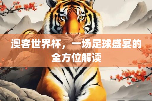 澳客世界杯，一场足球盛宴的全方位解读