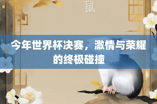 今年世界杯决赛，激情与荣耀的终极碰撞