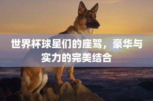 世界杯球星们的座驾，豪华与实力的完美结合