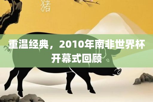 重温经典，2010年南非世界杯开幕式回顾