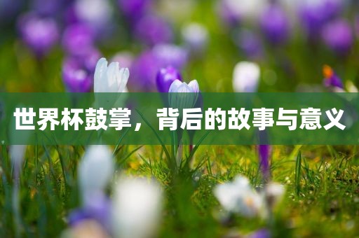 世界杯鼓掌，背后的故事与意义