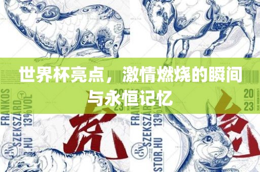 世界杯亮点，激情燃烧的瞬间与永恒记忆