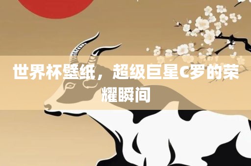 世界杯壁纸，超级巨星C罗的荣耀瞬间