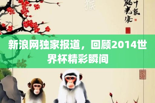 新浪网独家报道，回顾2014世界杯精彩瞬间