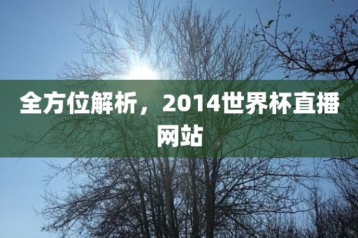 全方位解析，2014世界杯直播网站