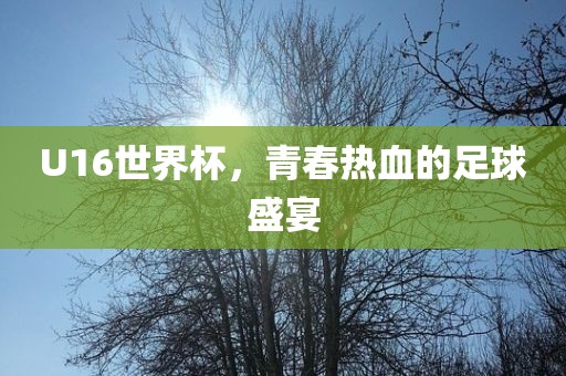 U16世界杯，青春热血的足球盛宴