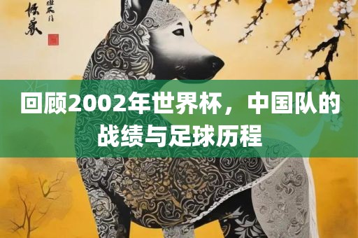 回顾2002年世界杯，中国队的战绩与足球历程