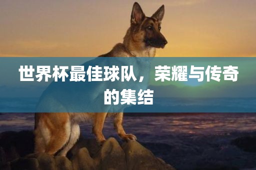 世界杯最佳球队，荣耀与传奇的集结