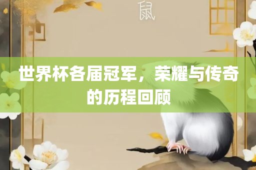 世界杯各届冠军，荣耀与传奇的历程回顾