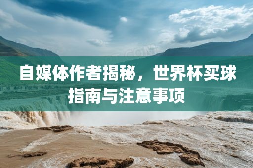 自媒体作者揭秘，世界杯买球指南与注意事项
