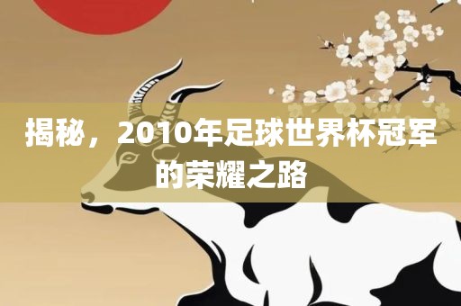 揭秘，2010年足球世界杯冠军的荣耀之路