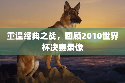 重温经典之战，回顾2010世界杯决赛录像