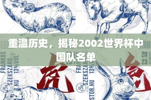 重温历史，揭秘2002世界杯中国队名单