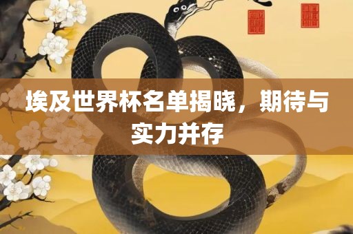 埃及世界杯名单揭晓，期待与实力并存