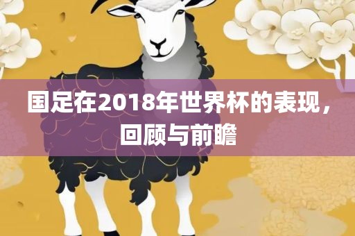 国足在2018年世界杯的表现，回顾与前瞻