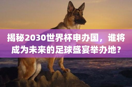 揭秘2030世界杯申办国,谁将成为未来的足球盛宴举办地?