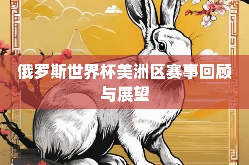 俄罗斯世界杯美洲区赛事回顾与展望